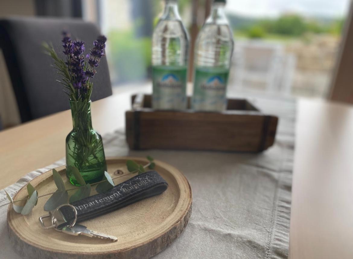 Appartement Burgblick 하르부르크 외부 사진